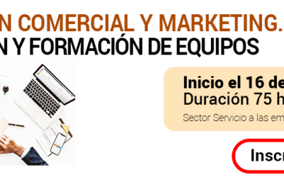 CURSO DE DIRECCIÓN COMERCIAL Y MARKETING. SELECCIÓN Y FORMACIÓN DE EQUIPOS